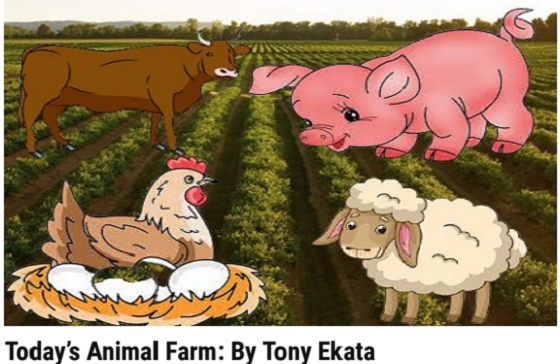 TODAY’S ANIMAL FARM By Tony Ekata